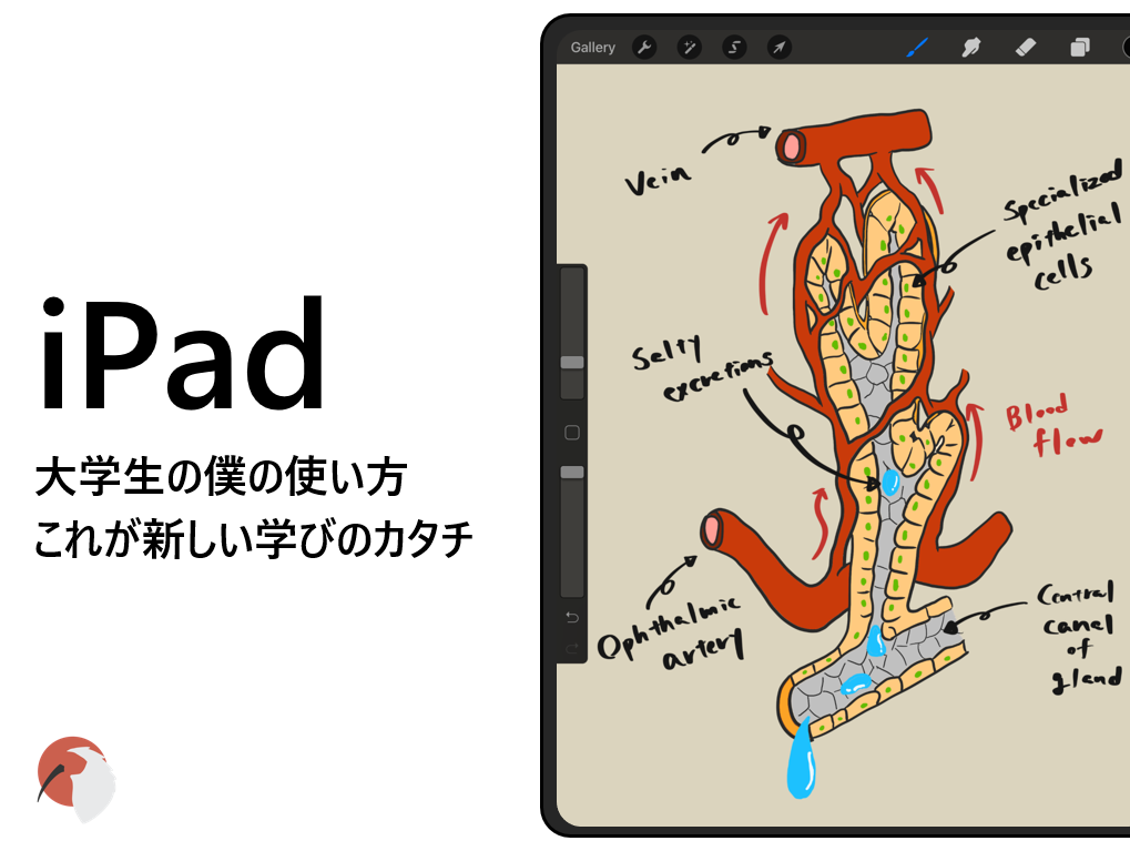 授業はipadで 大学生の僕の使い方 Dolinote