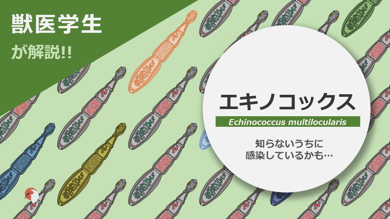 1901 図説エキノコックスとエキノコックス症 : 疫学・病理・診断