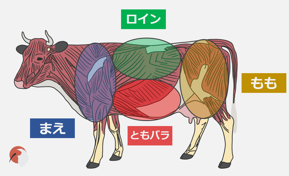 焼肉の解剖学 焼肉の部位を獣医学生が解説 Dolinote