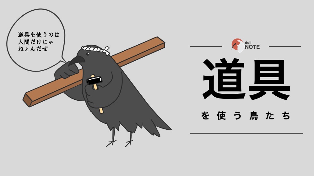 道具を使う鳥たち - doliNOTE