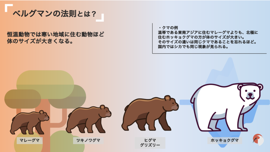 ベルグマンの法則と地球温暖化 動物が小さくなっている Dolinote