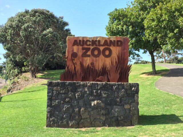 近くにオークランド動物園があったので、遊びに行きました
生のキーウィを見れて良かったです
