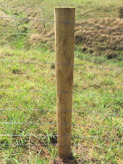 これをずっと作っていました
定規に合わせて丸太に線をひきワイヤーをひいて、クギで固定しました