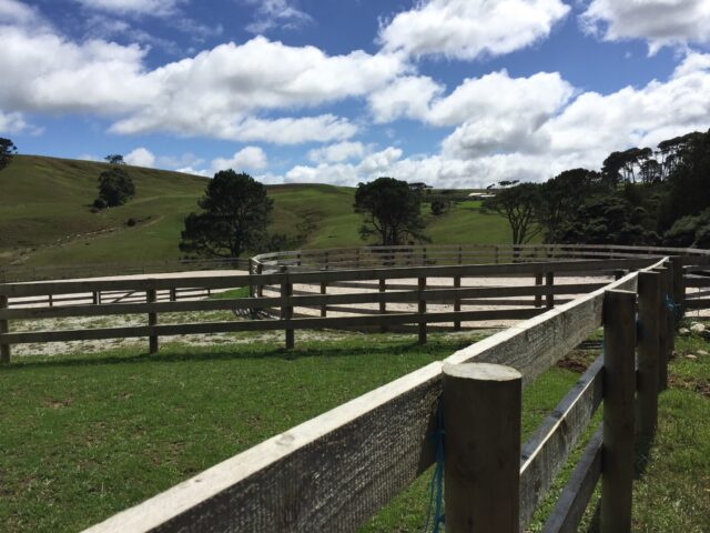 牧場は広かったです